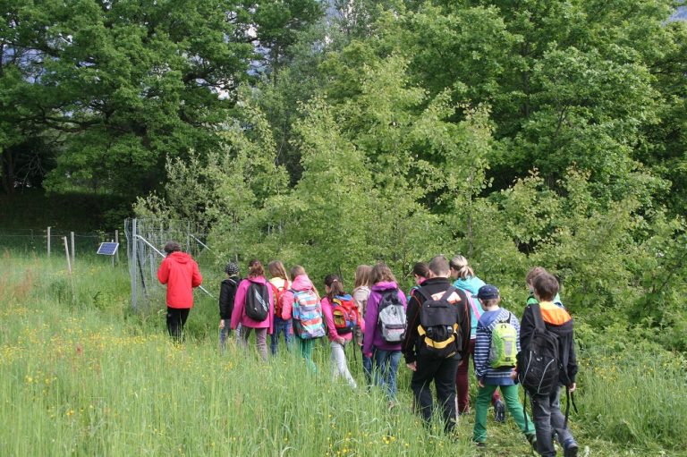 Naturpark Mittelschule Nötsch im Gailtal